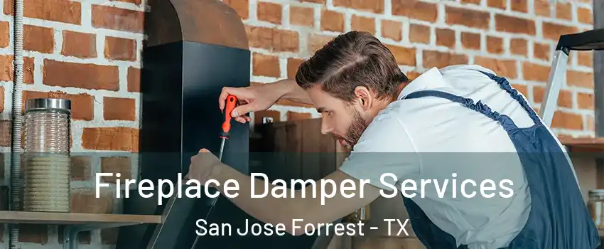 Fireplace Damper Services San Jose Forrest - TX