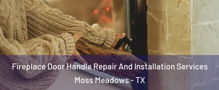 Fireplace Door Handle Repair And Installation Services Moss Meadows - TX