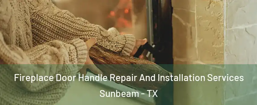 Fireplace Door Handle Repair And Installation Services Sunbeam - TX