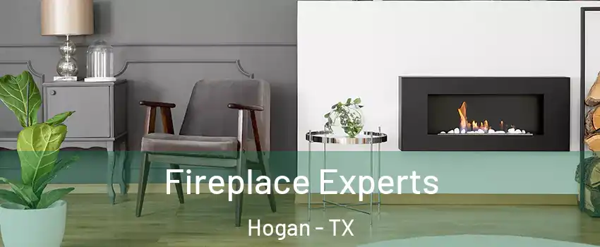 Fireplace Experts Hogan - TX