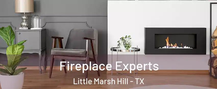 Fireplace Experts Little Marsh Hill - TX