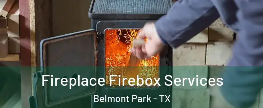 Fireplace Firebox Services Belmont Park - TX