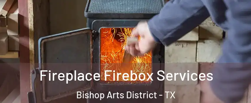 Fireplace Firebox Services Bishop Arts District - TX