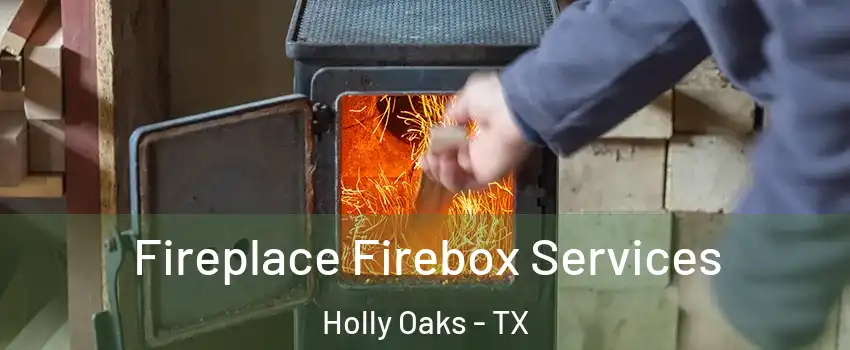 Fireplace Firebox Services Holly Oaks - TX