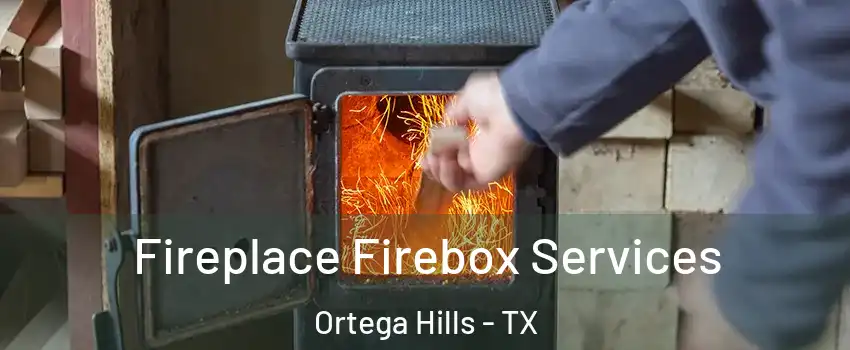 Fireplace Firebox Services Ortega Hills - TX