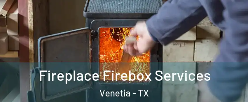 Fireplace Firebox Services Venetia - TX