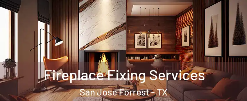 Fireplace Fixing Services San Jose Forrest - TX