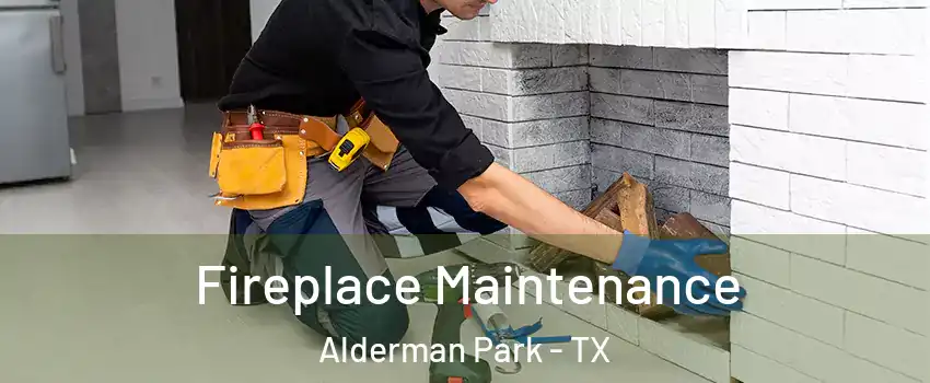 Fireplace Maintenance Alderman Park - TX