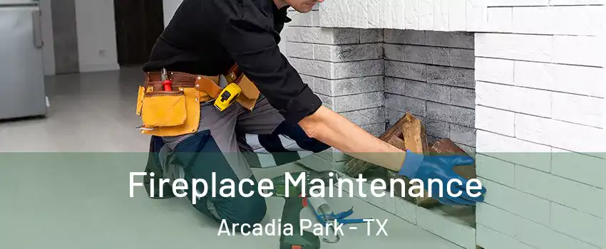 Fireplace Maintenance Arcadia Park - TX