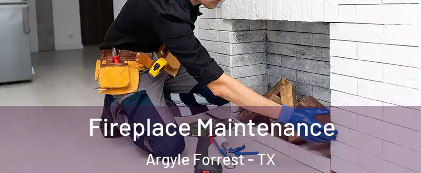 Fireplace Maintenance Argyle Forrest - TX