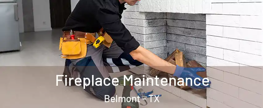 Fireplace Maintenance Belmont - TX