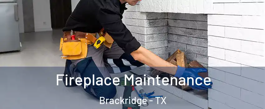 Fireplace Maintenance Brackridge - TX