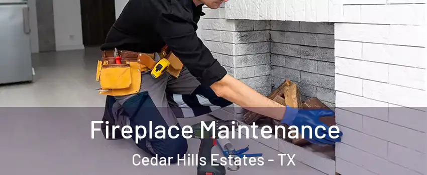 Fireplace Maintenance Cedar Hills Estates - TX