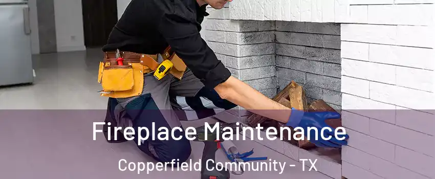 Fireplace Maintenance Copperfield Community - TX