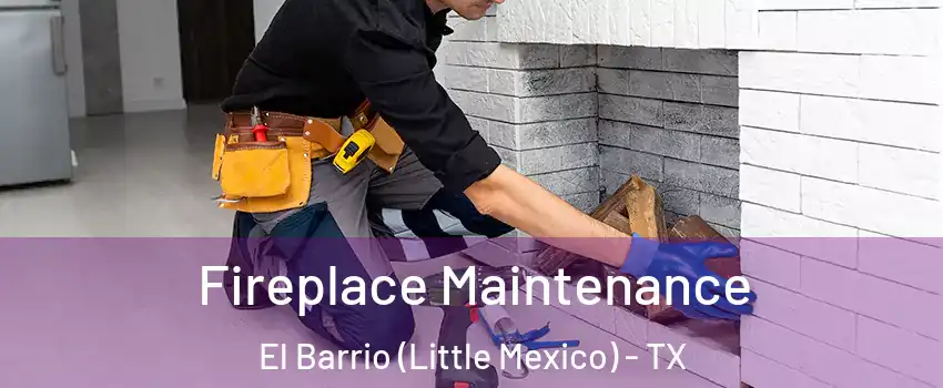 Fireplace Maintenance El Barrio (Little Mexico) - TX