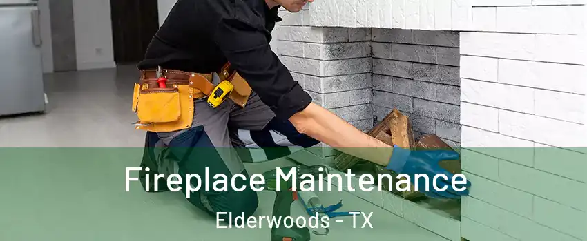 Fireplace Maintenance Elderwoods - TX