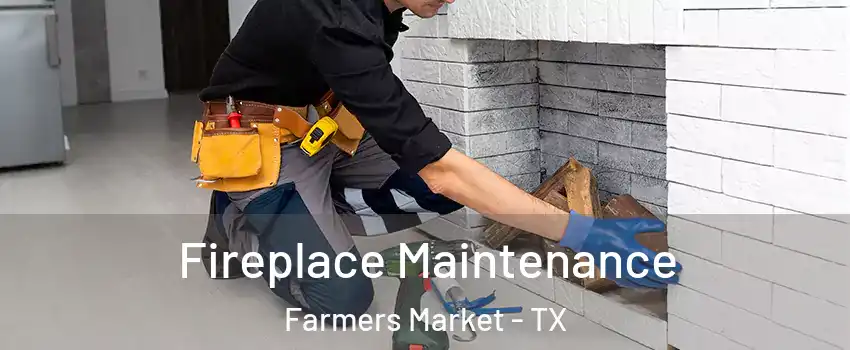 Fireplace Maintenance Farmers Market - TX