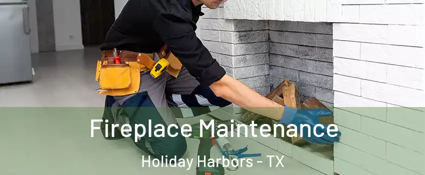 Fireplace Maintenance Holiday Harbors - TX