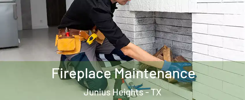 Fireplace Maintenance Junius Heights - TX