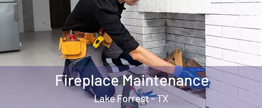 Fireplace Maintenance Lake Forrest - TX