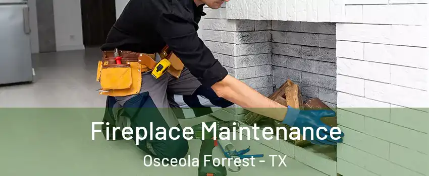 Fireplace Maintenance Osceola Forrest - TX