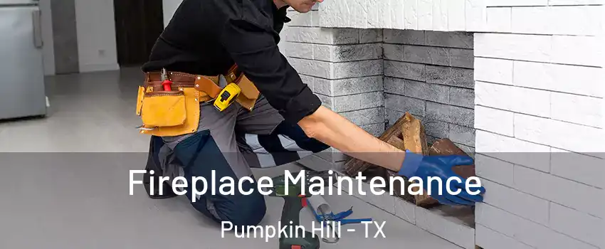 Fireplace Maintenance Pumpkin Hill - TX