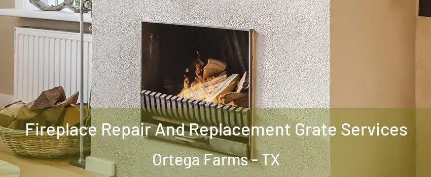 Fireplace Repair And Replacement Grate Services Ortega Farms - TX