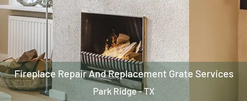 Fireplace Repair And Replacement Grate Services Park Ridge - TX