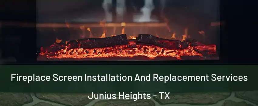 Fireplace Screen Installation And Replacement Services Junius Heights - TX