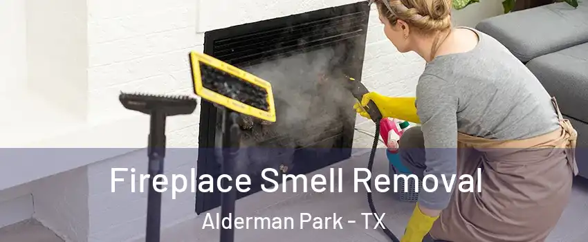 Fireplace Smell Removal Alderman Park - TX