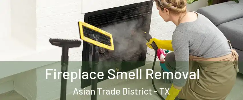 Fireplace Smell Removal Asian Trade District - TX