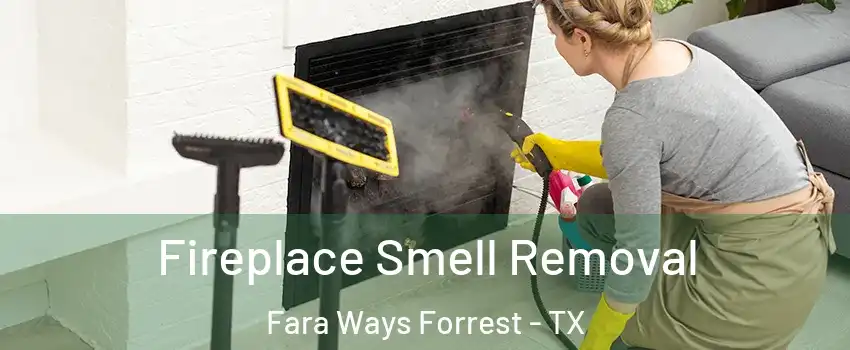 Fireplace Smell Removal Fara Ways Forrest - TX