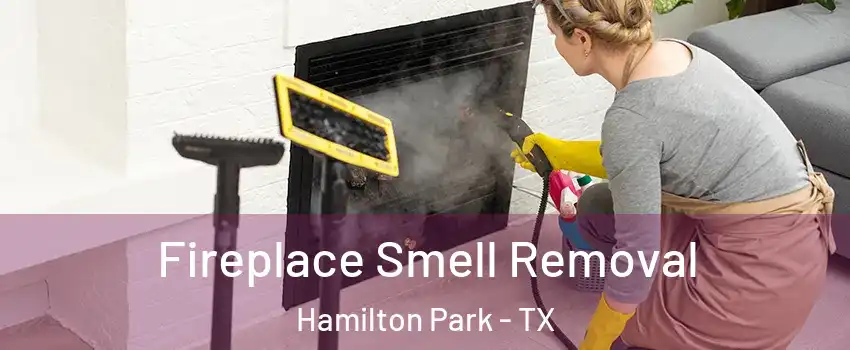 Fireplace Smell Removal Hamilton Park - TX