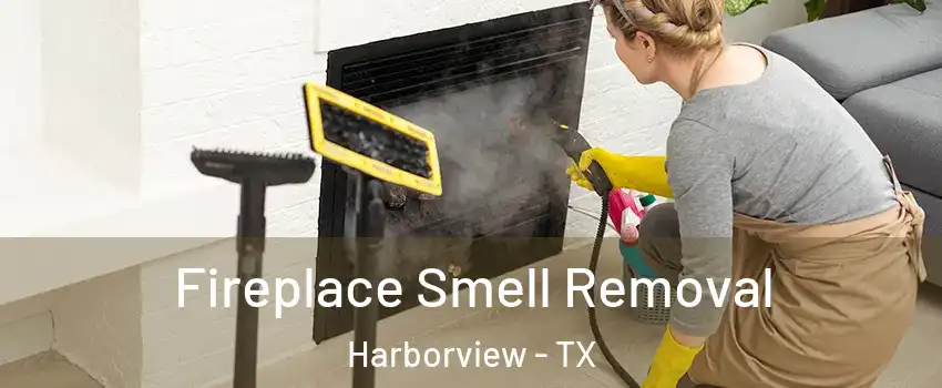 Fireplace Smell Removal Harborview - TX