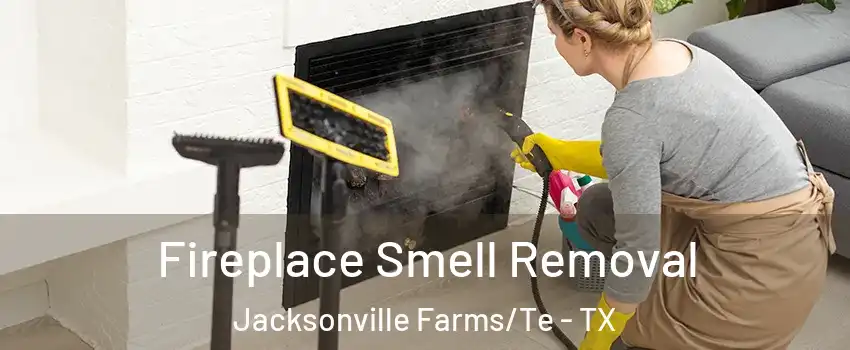 Fireplace Smell Removal Jacksonville Farms/Te - TX