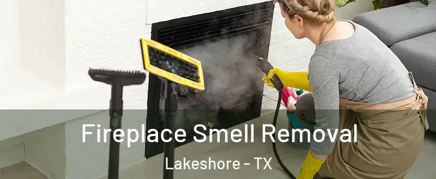 Fireplace Smell Removal Lakeshore - TX