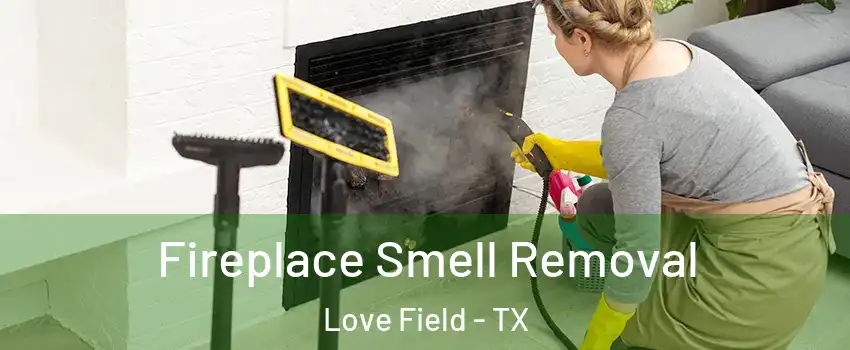 Fireplace Smell Removal Love Field - TX