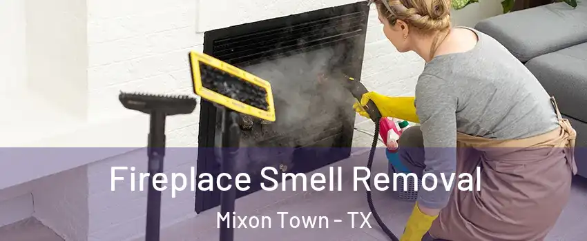 Fireplace Smell Removal Mixon Town - TX