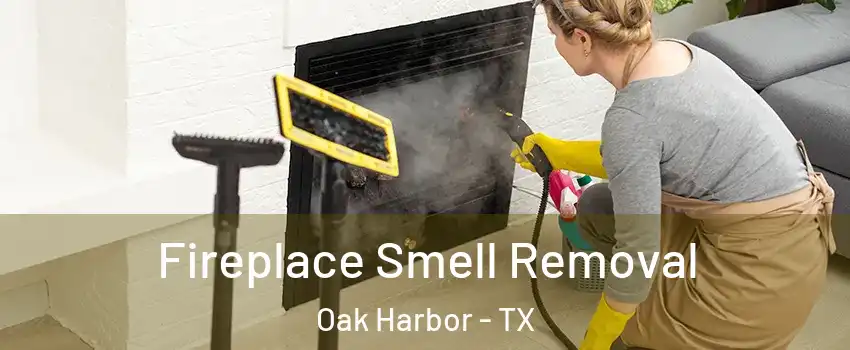 Fireplace Smell Removal Oak Harbor - TX