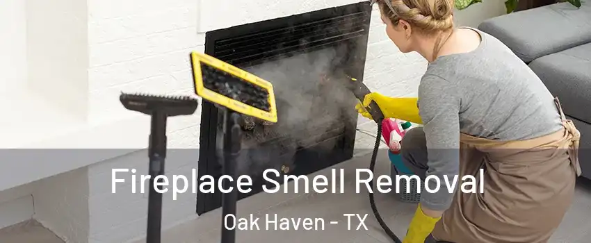 Fireplace Smell Removal Oak Haven - TX