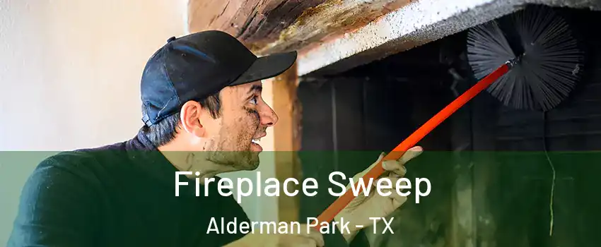 Fireplace Sweep Alderman Park - TX