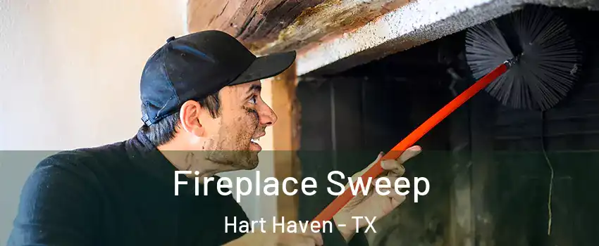 Fireplace Sweep Hart Haven - TX