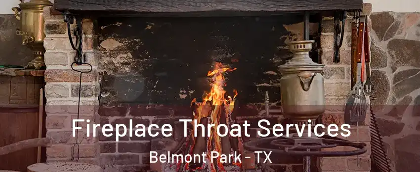 Fireplace Throat Services Belmont Park - TX