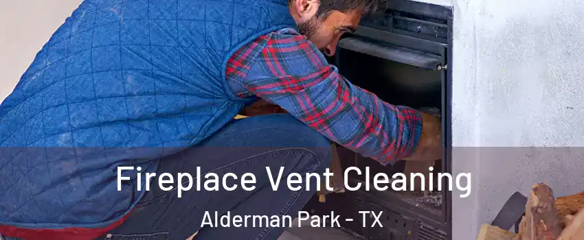 Fireplace Vent Cleaning Alderman Park - TX