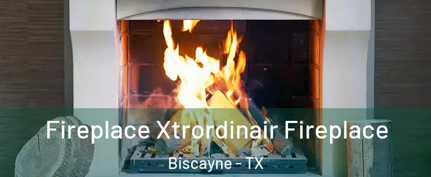 Fireplace Xtrordinair Fireplace Biscayne - TX