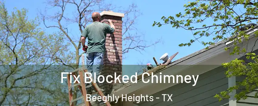 Fix Blocked Chimney Beeghly Heights - TX