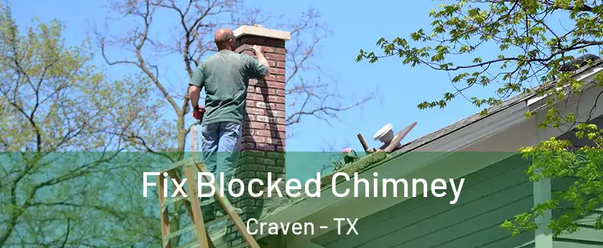 Fix Blocked Chimney Craven - TX