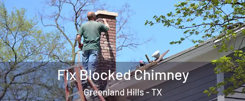 Fix Blocked Chimney Greenland Hills - TX