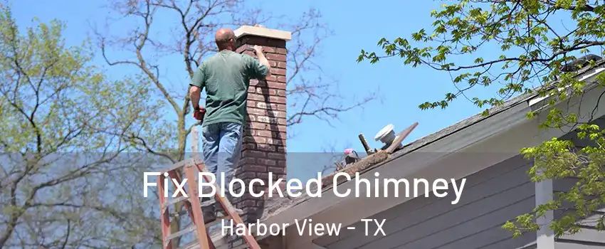 Fix Blocked Chimney Harbor View - TX