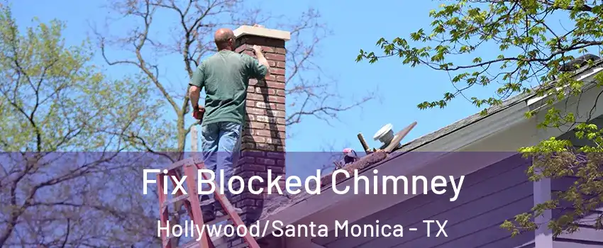 Fix Blocked Chimney Hollywood/Santa Monica - TX